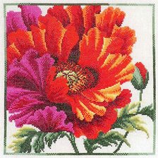 Схема вышивки «Мак»