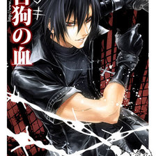 Схема вышивки «шики»