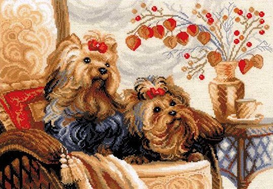 Собачки - животные, физалис, букет, собаки, собака, собачки - оригинал