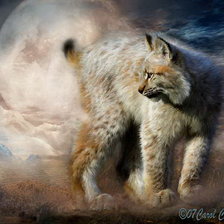 Схема вышивки «Рысь»