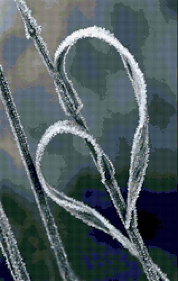 Изморозь - мороз, ветка, иней - предпросмотр