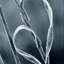 Схема вышивки «Изморозь»