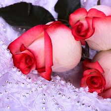 Схема вышивки «свадебный цветы»