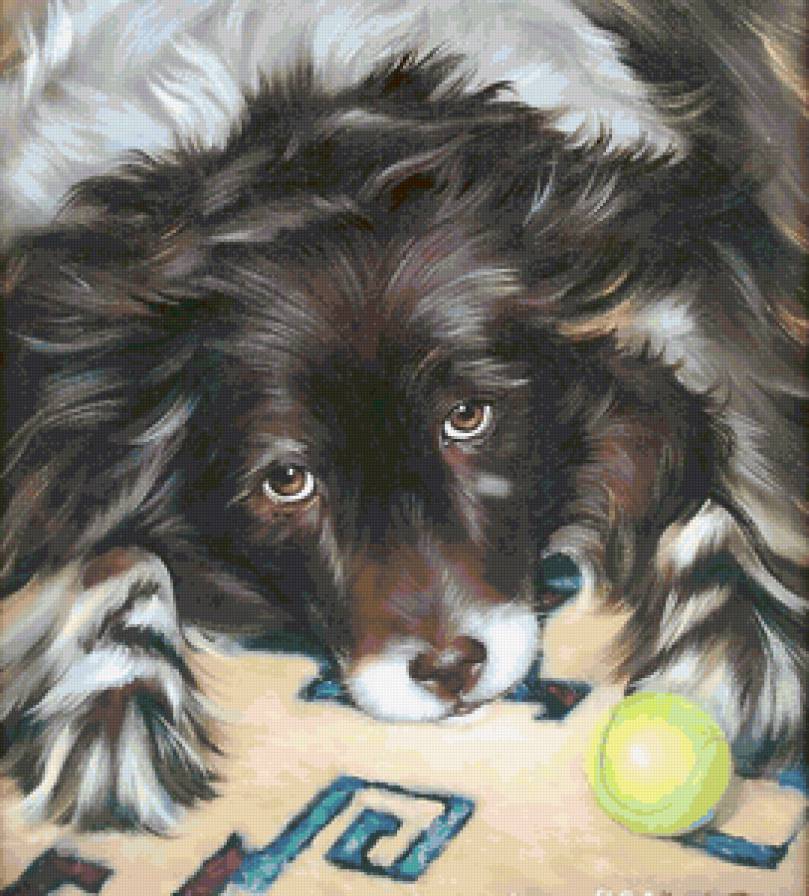 №13253 - предпросмотр