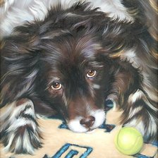 Схема вышивки «№13253»