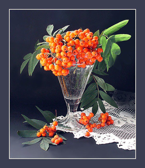 Рябина - натюрморт, ягоды, рябина - оригинал