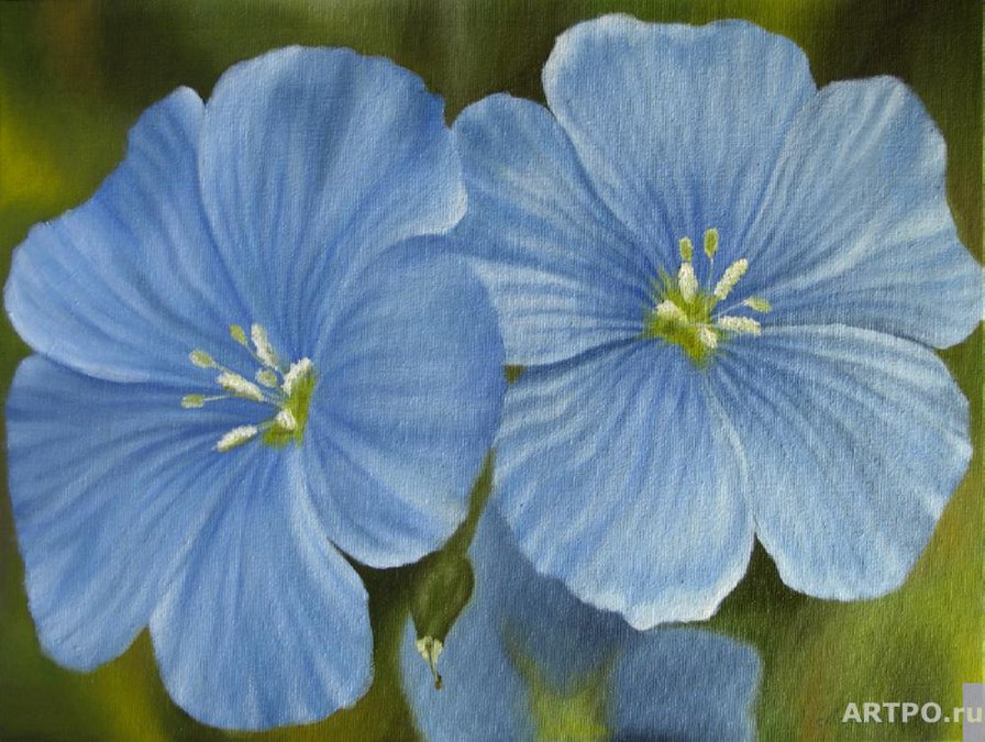 Серия "Букет" - букет, цветы, лаватера - оригинал