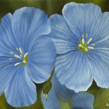 Схема вышивки «Серия "Букет"»