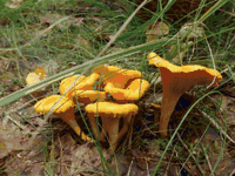 лисички 2 - предпросмотр