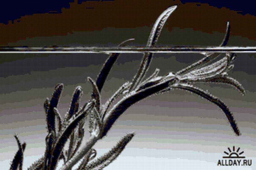 черно-белая вышивка - черно-белая вышивка - предпросмотр