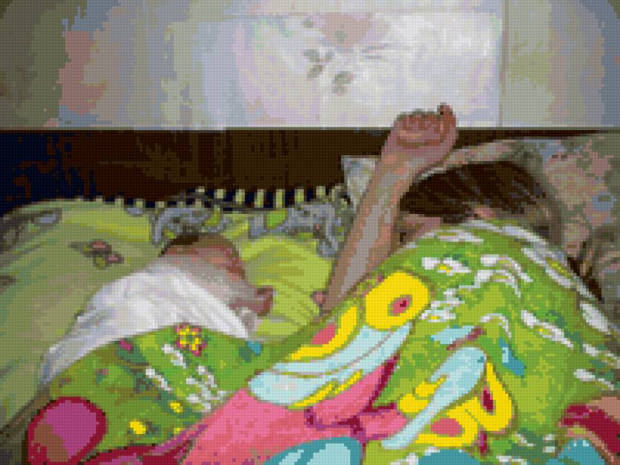 №13770 - предпросмотр