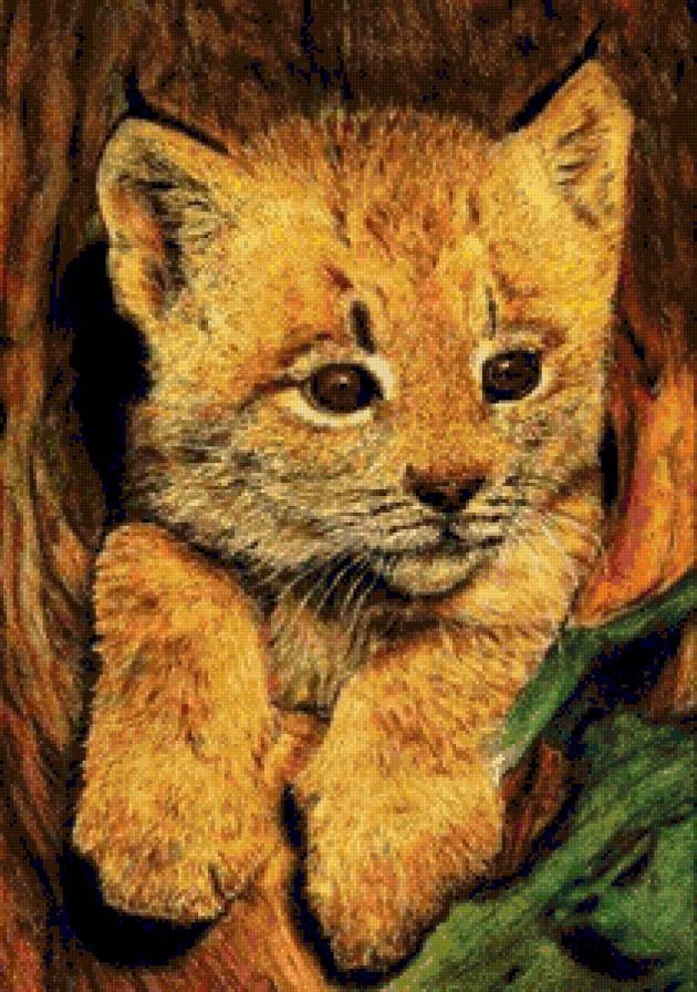 Очень,очень милый питомец) - животные - предпросмотр