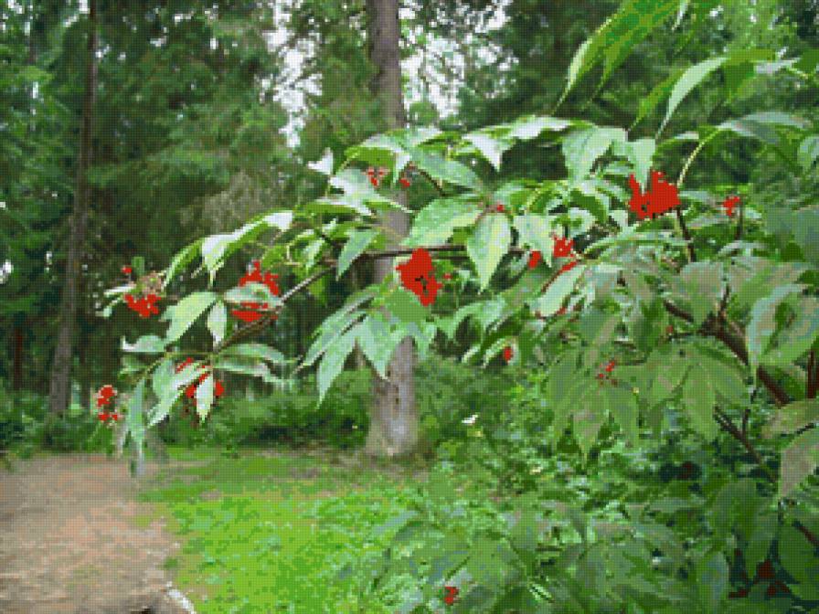 №13848 - предпросмотр