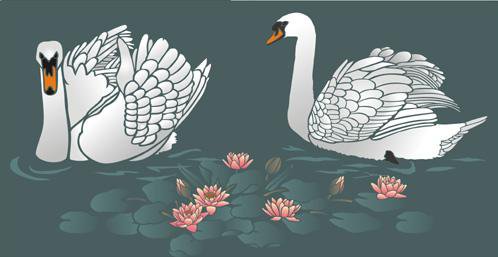 №13956 - птицы - оригинал