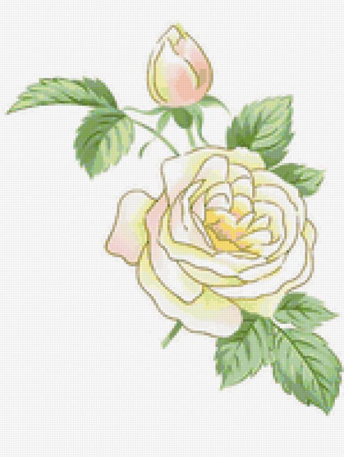 №13967 - цветы - предпросмотр