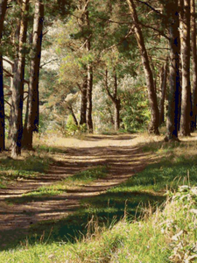 лесная дорога - дорога, лето, лес - предпросмотр