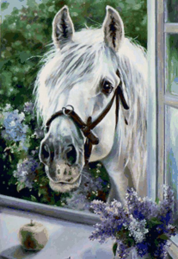 Лошадь - животные, лошади - предпросмотр