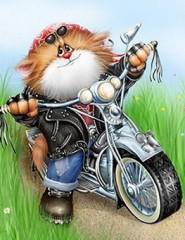 коты - оригинал