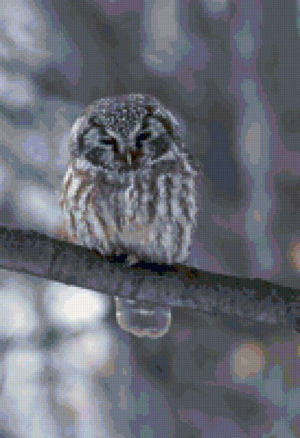 546 - птицы - предпросмотр