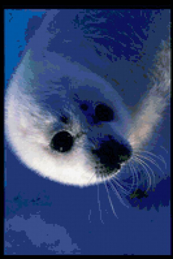 7461 - животные - предпросмотр