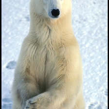 Схема вышивки «Миша»