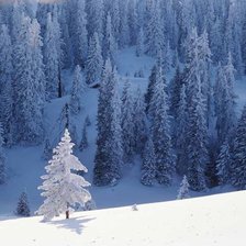 Схема вышивки «Зима»