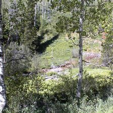 Схема вышивки «Природа»