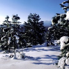 Схема вышивки «Зима»