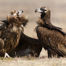 Схема вышивки «пригашение на танец»