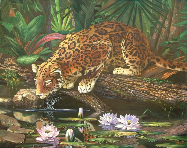 На водопое - животные, пейзаж, ягуар, живопись - оригинал