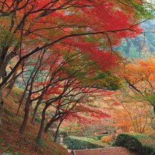 Схема вышивки «осенний вальс»