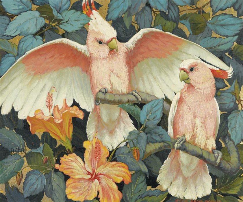 попугаи - птицы - оригинал