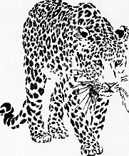 Схема вышивки «пластичность»