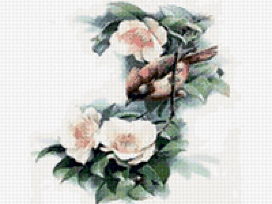 птичка - птичка - предпросмотр