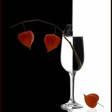 Схема вышивки «черно-бело-красное»