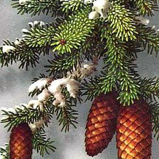 Схема вышивки «Еловые шишки»