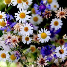 Схема вышивки «№15064»