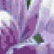 Предпросмотр схемы вышивки «цветы» (№15197)