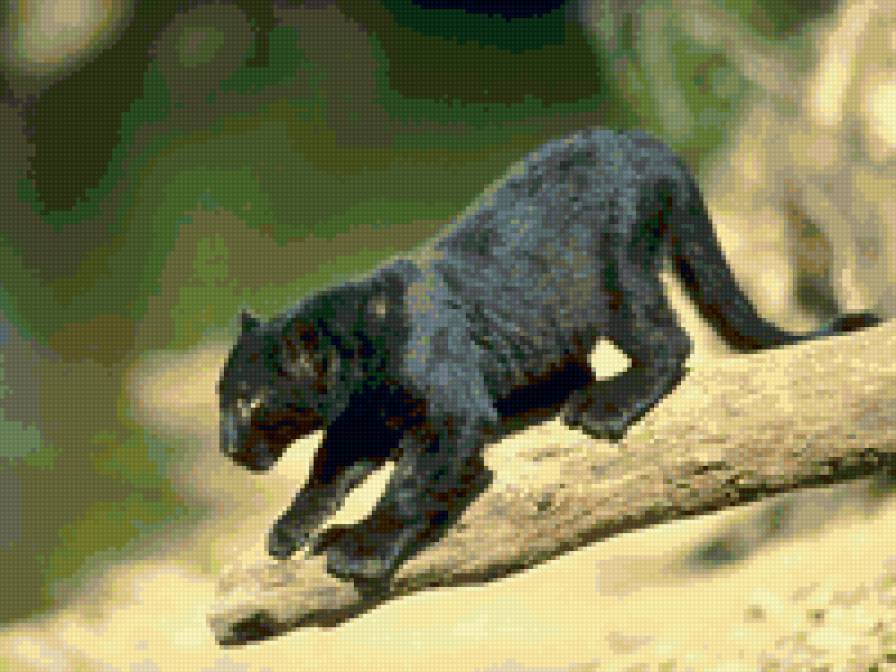 Рысь - животные - предпросмотр