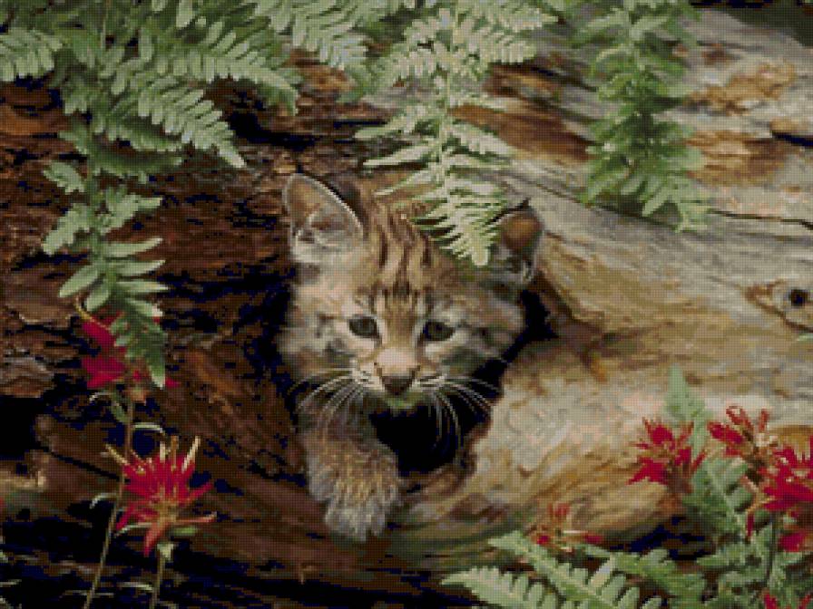 №15261 - предпросмотр