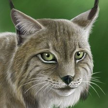 Схема вышивки «№15279»