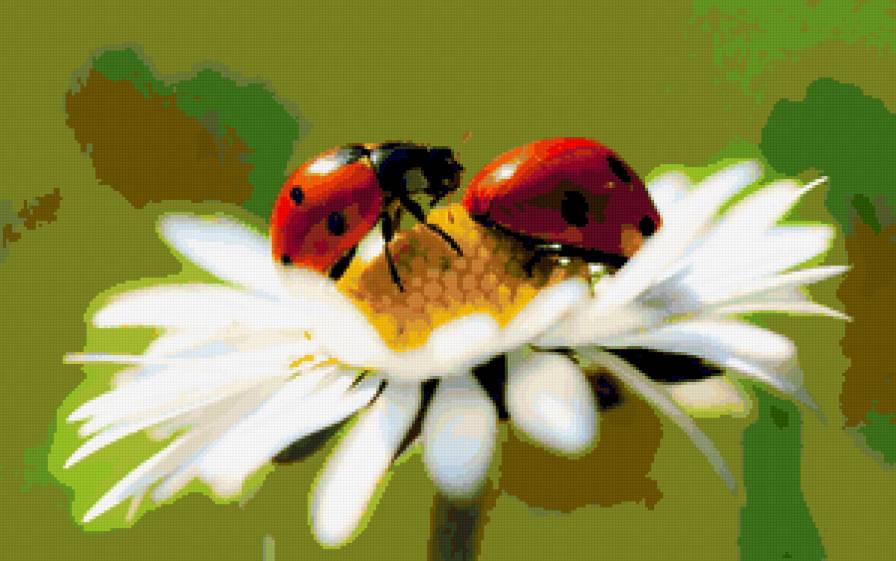 №15305 - предпросмотр