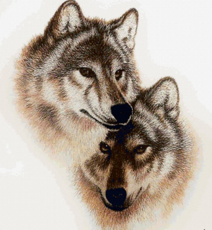 Пара - пара, волки - предпросмотр