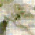 Предпросмотр схемы вышивки «гладиолус» (№15734)
