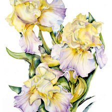 Схема вышивки «№15812»