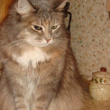 Схема вышивки «№15870»