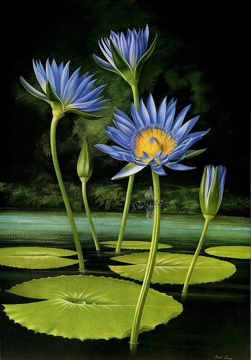 №15882 - оригинал