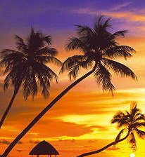 Схема вышивки «Романтика))»