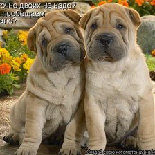 Схема вышивки «собаки»