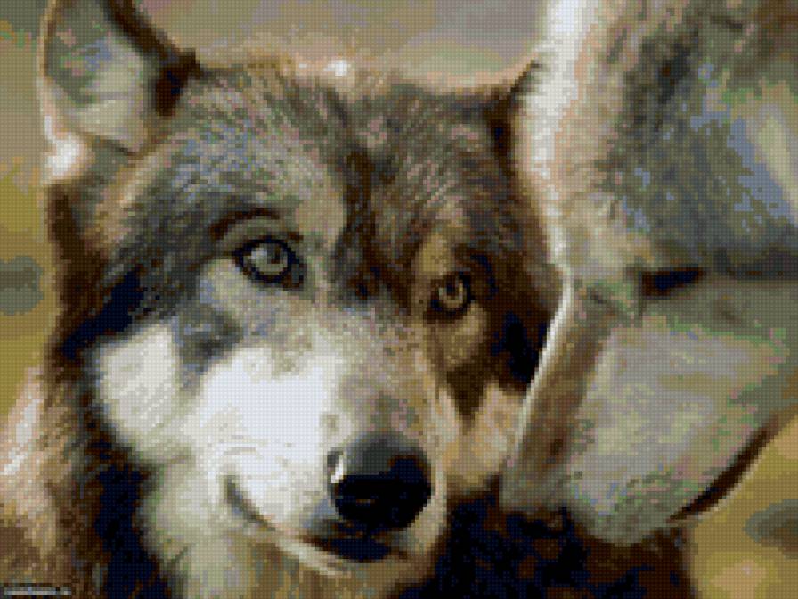 Волки - предпросмотр